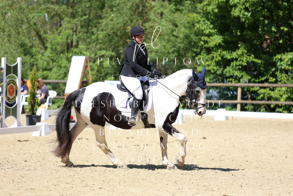 IMGS3801 | pl-fotografie