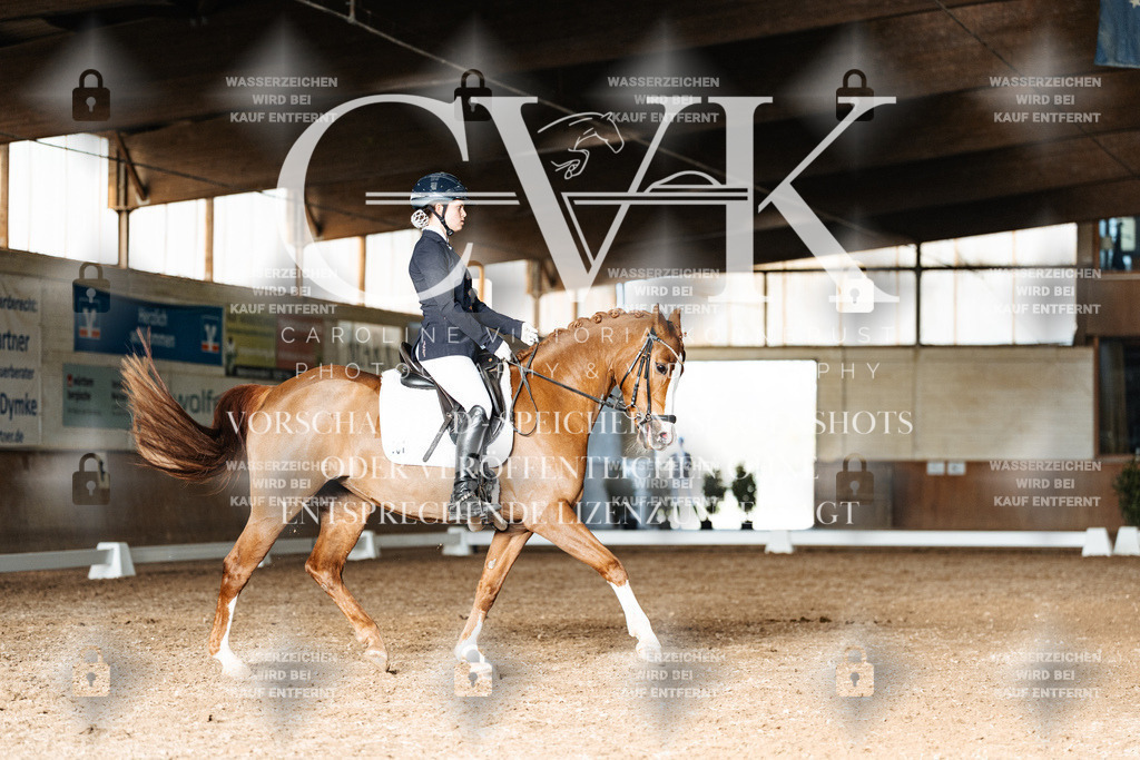 CK902982 | Turnierfotografie Pferdefotografie Trier Rheinland-Pfalz Pferdesport Reitsport Tierfotografie Sportfotografie Pferdevideo Pferdevideografie Equestrianvideography equestrianphotography  - Realisiert mit Pictrs.com