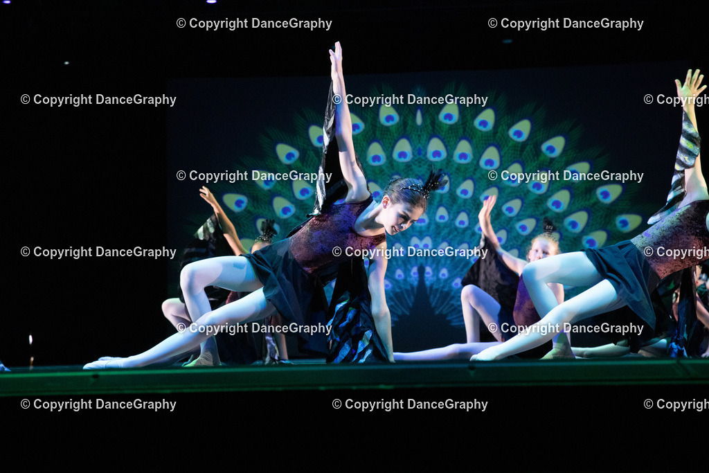 GPHY6169 | DanceGraphy - Realisiert mit Pictrs.com