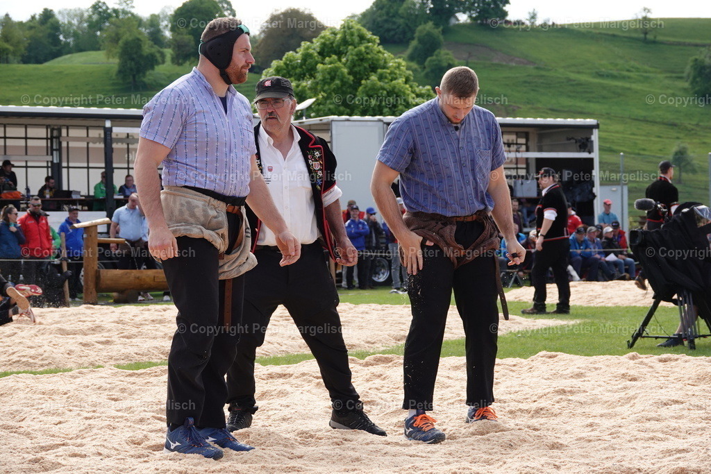 DSC00669 | Schwingen - Realisiert mit Pictrs.com