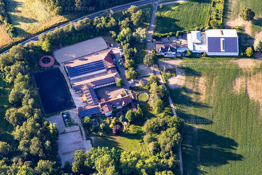Luftbild: Reitstall am Hochufer in Hagenbach im Bundesland Rheinland-Pfalz in Deutschland. Foto: IMG_141878.jpg vom 28.06.2024 durch Werner Riehm/FLY-FOTO.de