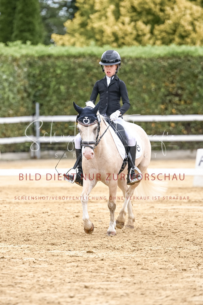 Schugtsche-Aluta25-42.EDressur -417 | Schugtsche Fotografie - Realisiert mit Pictrs.com