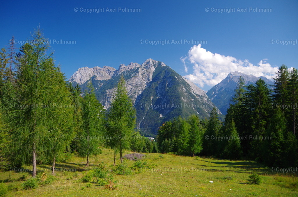 IMGP5318 | fotografiert von Axel PollmannLeonhardi Wallfahrt Benediktbeuern und Murnau, Fronleichnam, Fasching, Landschaft im Loisachtal und Benediktbeuern  - Realisiert mit Pictrs.com