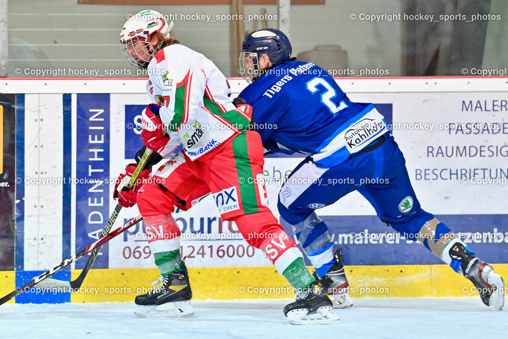 BST_9345 | hockey sports photos, Pressefotos, Sportfotos, hockey247, win 2day icehockeyleague, Handball Austria, Floorball Austria, ÖVV, Kärntner Eishockeyverband, KEHV, KFV, Kärntner Fussballverband, Österreichischer Volleyballverband, Alps Hockey League, ÖFB, 