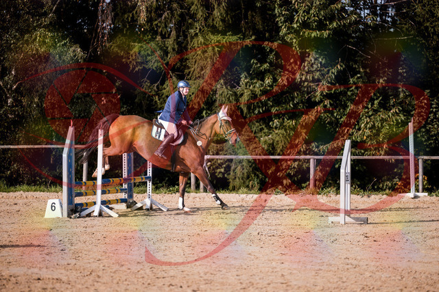 2026_10_03_Siefer-Hof_160653_Z81_88762942 | Professionelle Reitsport-, Turnier- und Eventfotografie von Robert Broda. Galerien mit ausgewählten und bearbeiteten Bildern direkt online ansehen und bestellen.