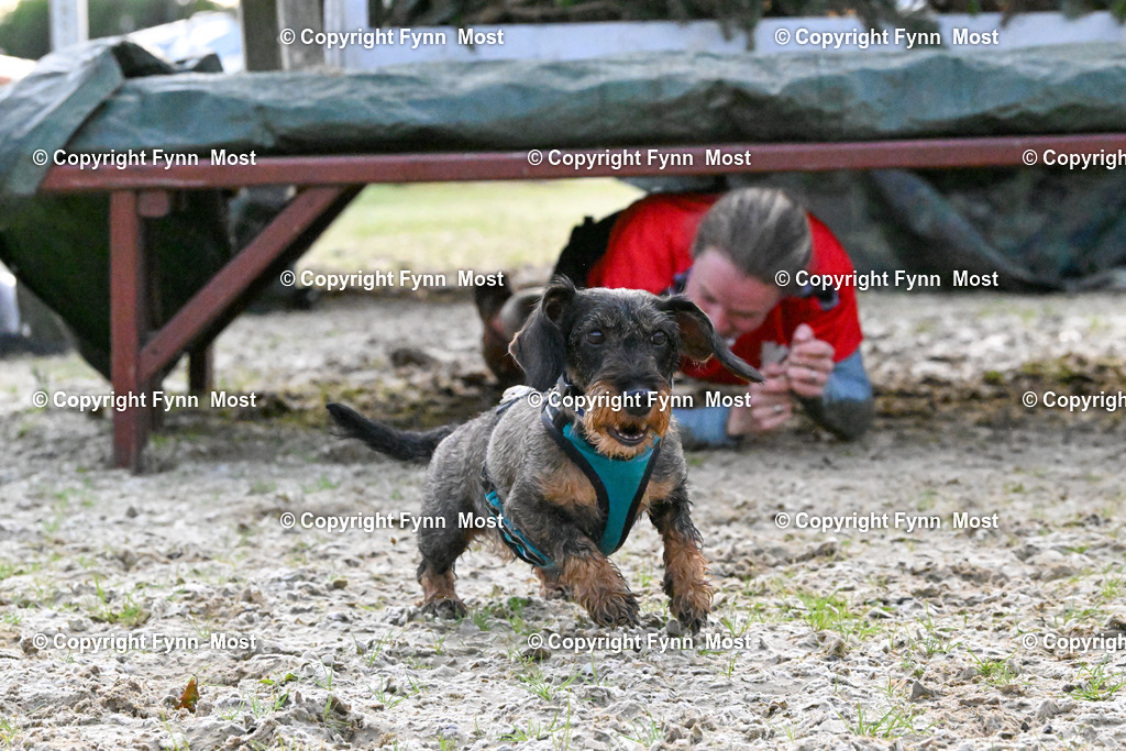 DSC_2798 | Hallo und herzlich Willkommen auf meiner Shop-Seite Fynn Most.

Ich wünsche Dir viel Spaß beim stöbern durch die Bilder, wenn Du Fragen hast oder Bilder vermisst, kannst du mir gerne eine Nachricht schreiben. - Realisiert mit Pictrs.com
