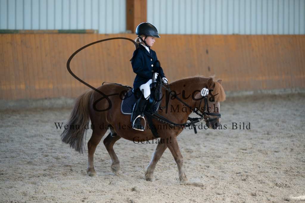 A7V02104 | Turnier/Reitfotograf