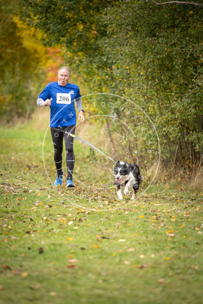 Pfotenfotografie_DV3A4051 | Hundefotografie, Tierfotograf, Pfotenfotografie, Fotoshooting Hund, Hunde Portrait, Hundesport, Hundeportraits, Heideshooting, Hunde, Sportfotograf, Hundefotograf, Turnierhundsport, THS,  - Realisiert mit Pictrs.com