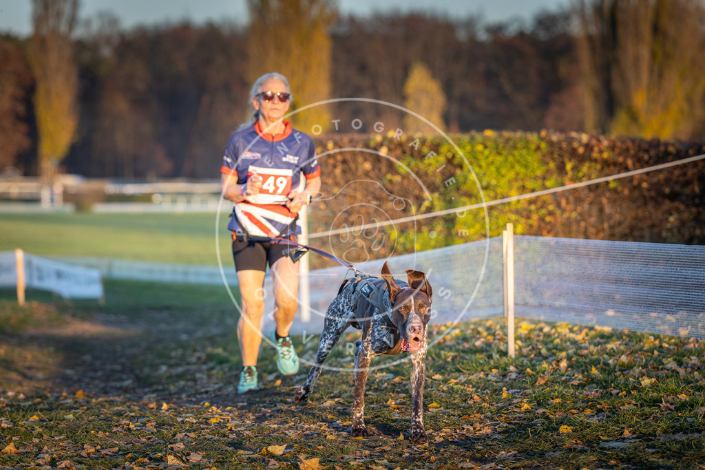 CaniXpix_DV3A5569 | Hundefotografie, Tierfotograf, Pfotenfotografie, Fotoshooting Hund, Hunde Portrait, Hundesport, Hundeportraits, Heideshooting, Hunde, Sportfotograf, Hundefotograf, Turnierhundsport, THS,  - Realisiert mit Pictrs.com