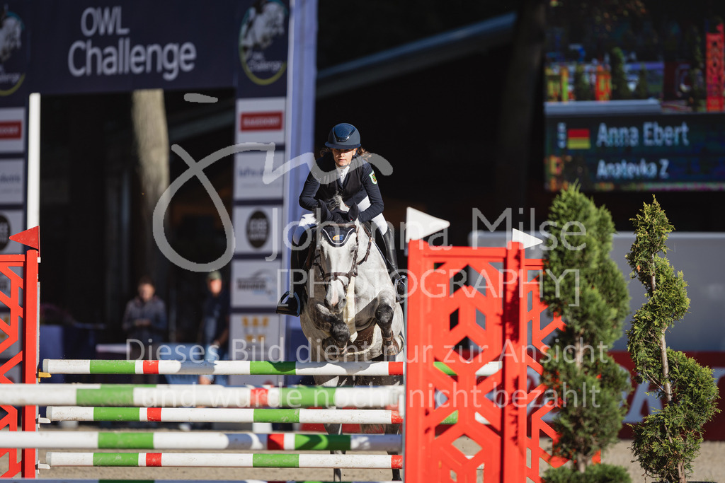 230908_OWLCh_AmateurS-109 | Deine schönsten Turniermomente als professionelle Fotos! Entdecke hochwertige Pferdesport-Fotografie im Online-Shop. Jetzt Fotos finden & bestellen!
