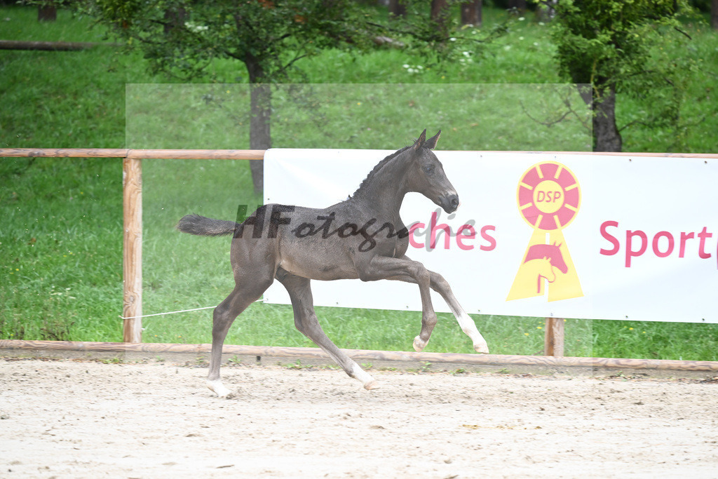 Kat-Nr. 34 HF Secret_Herrmann_25230224 | hf-fotografie - Realisiert mit Pictrs.com