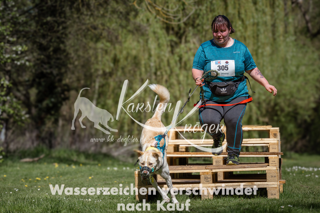 1153_ZZ90055-2 | kk-dogfotos