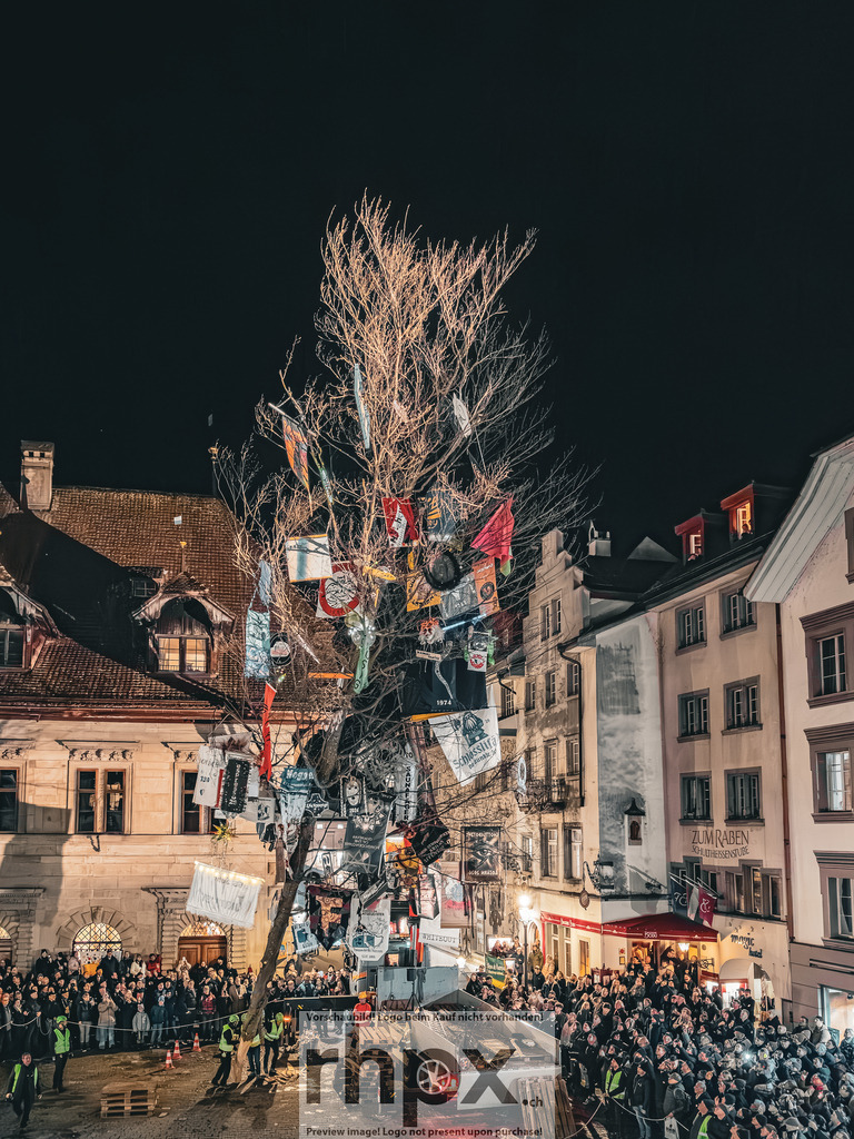 Guuggerbaum 2026 | Stimmungsvolle Fotokunst aus Luzern. Erlebe den Pilatus, den See und die Stadt Luzern in exklusiven Aufnahmen in der Fotogalerie & Shop. - Realisiert mit Pictrs.com