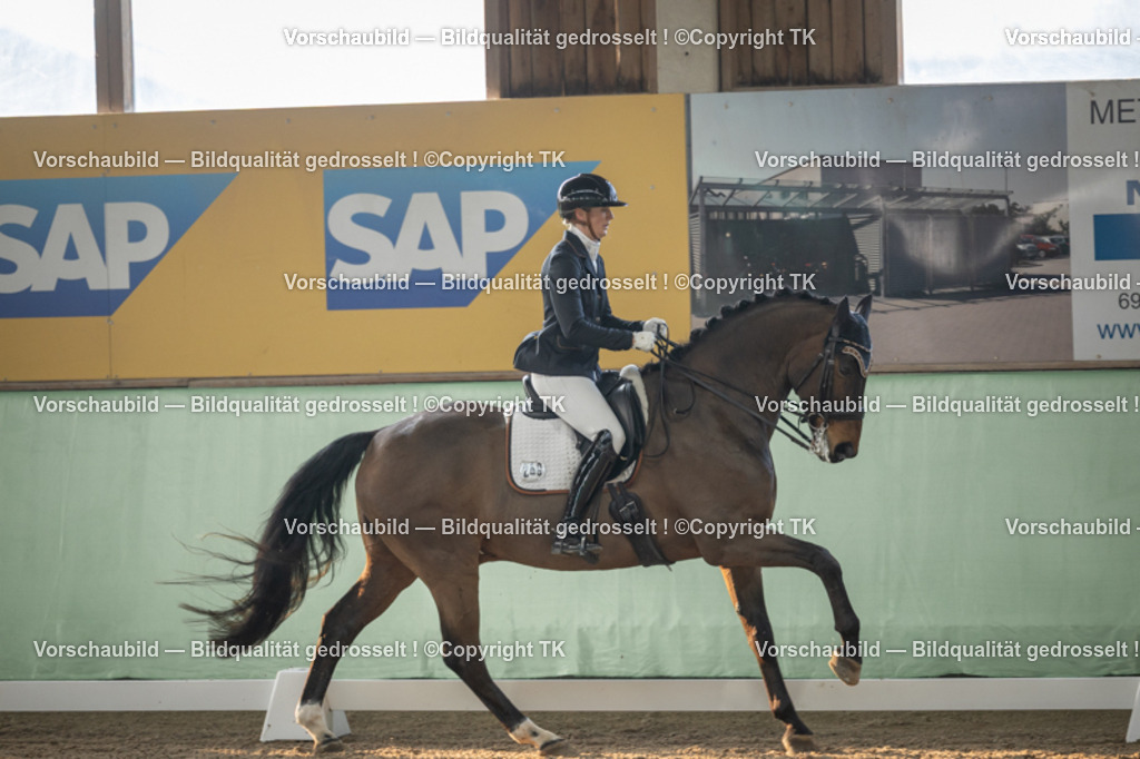 _D5A4042 | Emotionale Pferde- & People-Fotografie rund um Heidelberg, Leimen & Umgebung. Natürliche Fotos von Pferd, Mensch & Familie. Jetzt Termin sichern!