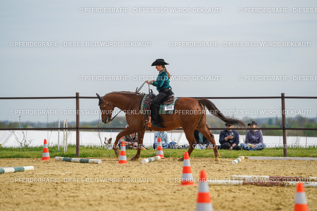 DSC03661 | Pferdegrafie