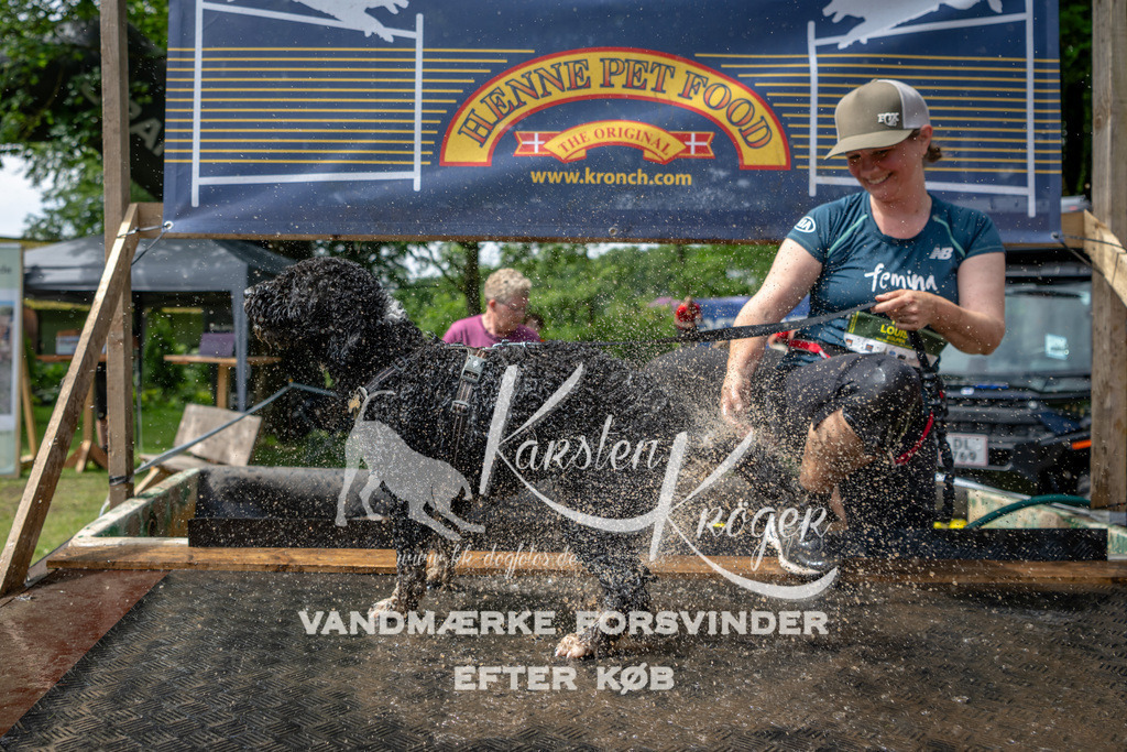 1113_ZZ93011 | kk-dogfotos