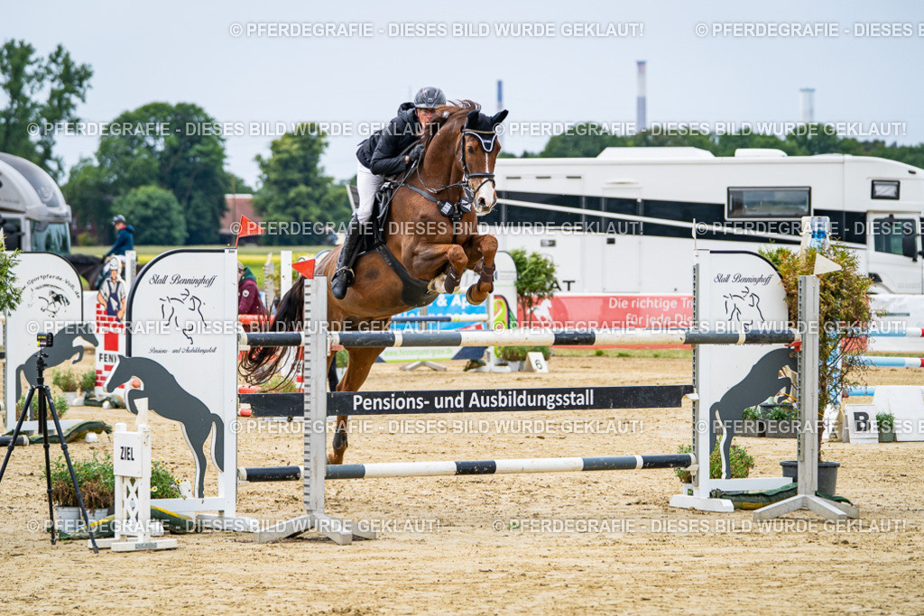 DSC06574 | Pferdegrafie