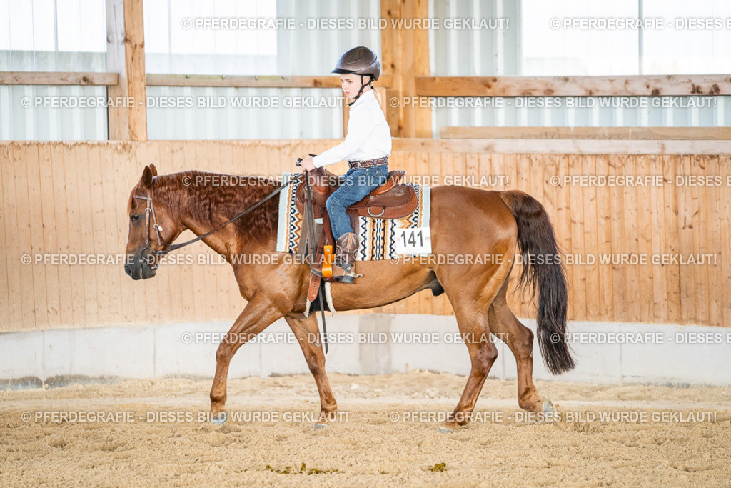 DSC08607 | Pferdegrafie