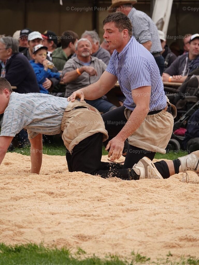 k-DSC06191 | Schwingen - Realisiert mit Pictrs.com