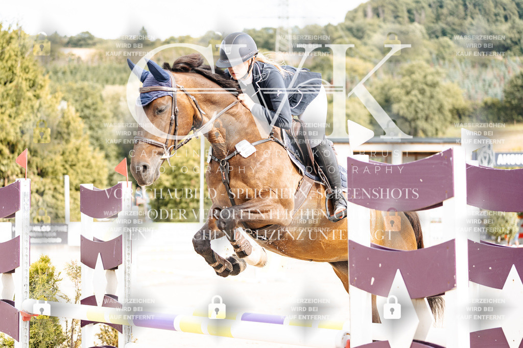 CK902196 | Turnierfotografie Pferdefotografie Trier Rheinland-Pfalz Pferdesport Reitsport Tierfotografie Sportfotografie Pferdevideo Pferdevideografie Equestrianvideography equestrianphotography  - Realisiert mit Pictrs.com