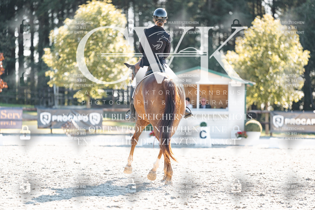 CK906665 | Turnierfotografie Pferdefotografie Trier Rheinland-Pfalz Pferdesport Reitsport Tierfotografie Sportfotografie Pferdevideo Pferdevideografie Equestrianvideography equestrianphotography  - Realisiert mit Pictrs.com