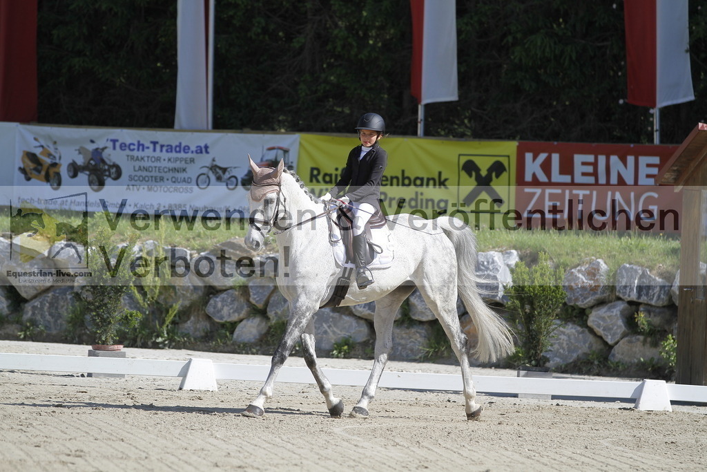 _MG_6538 | equestrian-live-com
