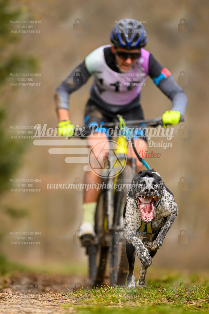 MompixPhotography_Schwabentrail2024_Bike-84 | PayLife
