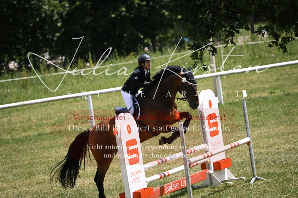 DSC_9772 | Pferde- und Turnierfotografie in Westsachsen. Pferdeportraits, Auftragszeichnungen und intuitive Kunst.