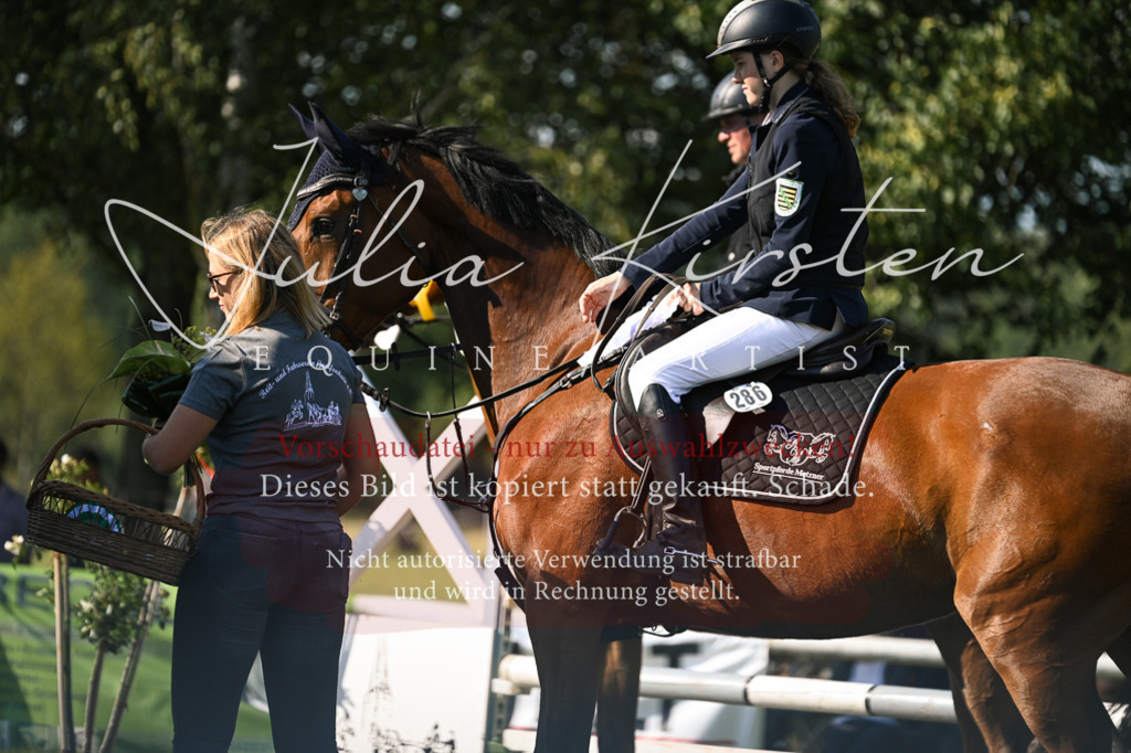 DSC_1529 | Pferde- und Turnierfotografie in Westsachsen. Pferdeportraits, Auftragszeichnungen und intuitive Kunst.