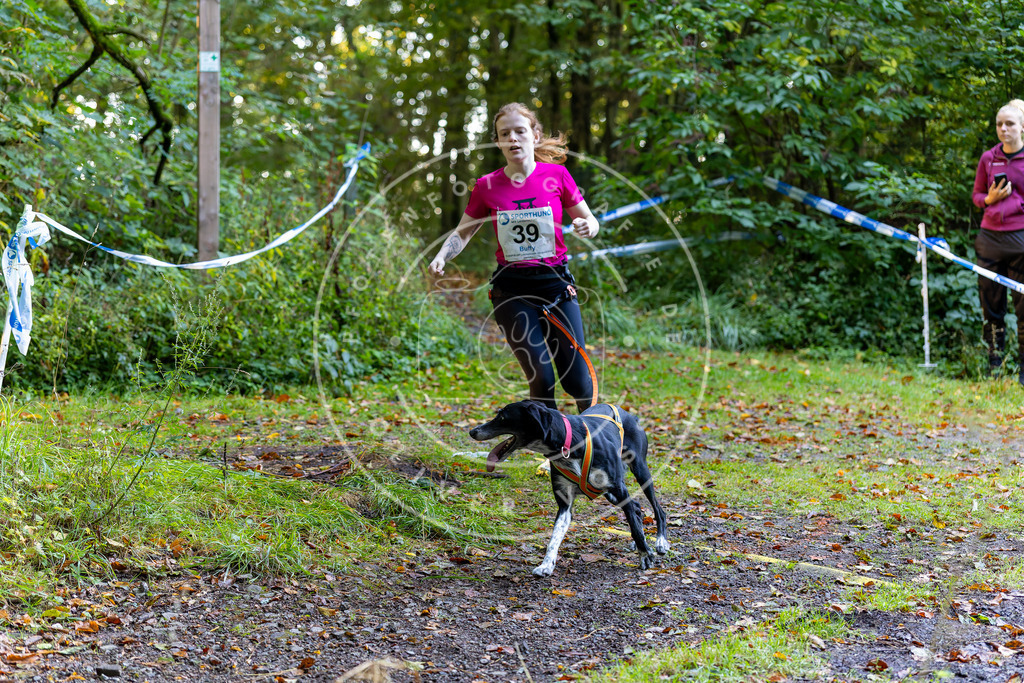 Pfotenfotografie_DV3A6796 | Hundefotografie, Tierfotograf, Pfotenfotografie, Fotoshooting Hund, Hunde Portrait, Hundesport, Hundeportraits, Heideshooting, Hunde, Sportfotograf, Hundefotograf, Turnierhundsport, THS,  - Realisiert mit Pictrs.com