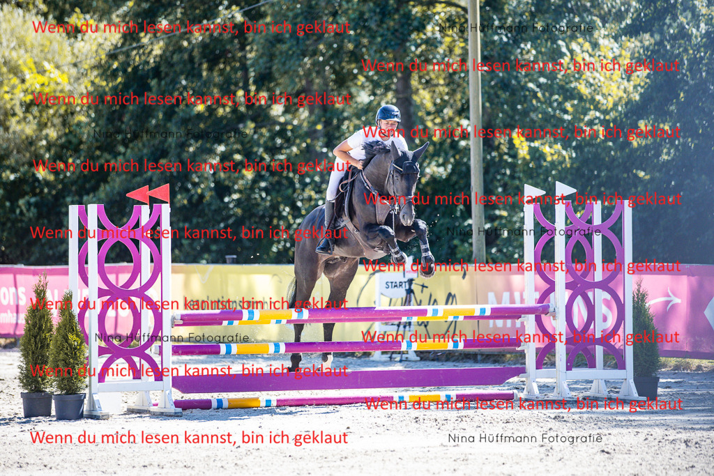 BK1A5598 | Turnierbilder Turnierfotos Nina Hüffmann Turnierfotografie Pferdefotografie Tierzeichnung Haustierzeichnung Pferdezeichnung Hundezeichnung Videograf  - Realisiert mit Pictrs.com