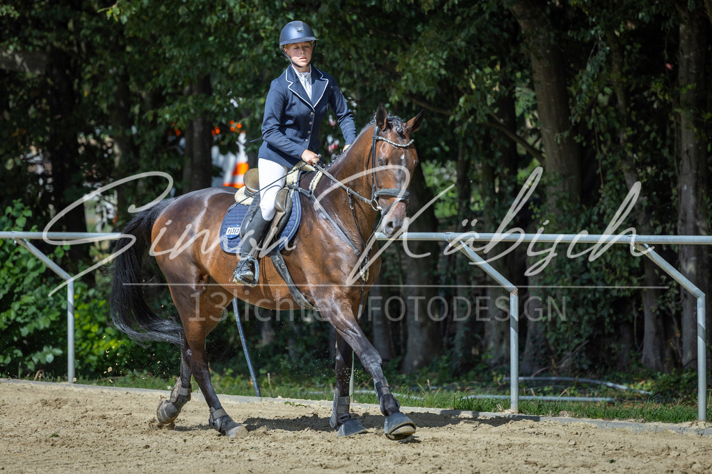 20260905-_3LI8935 | Tierfotografie Pferde, Hunde, Katzen, Haustiere.
Turnierfotografie Reitturniere, Reiten, Springreiten, Dressur in Hanau, dem Main-Kinzig-Kreis und dem Rhein-Main- Gebiet um Frankfurt