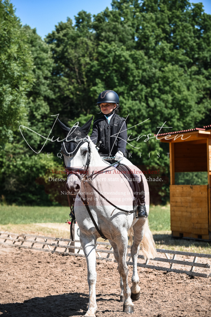 DSC_3087 | Pferde- und Turnierfotografie in Westsachsen. Pferdeportraits, Auftragszeichnungen und intuitive Kunst.