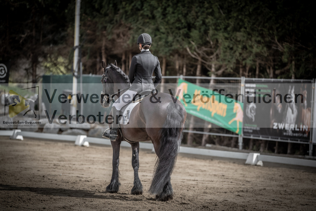 DSC_9163 | equestrian-live-com