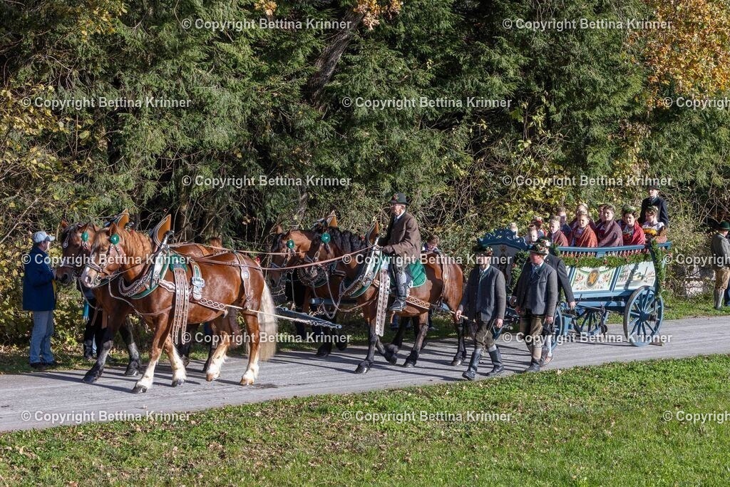 LBT24-355 | foto-bettina-krinner - Realisiert mit Pictrs.com
