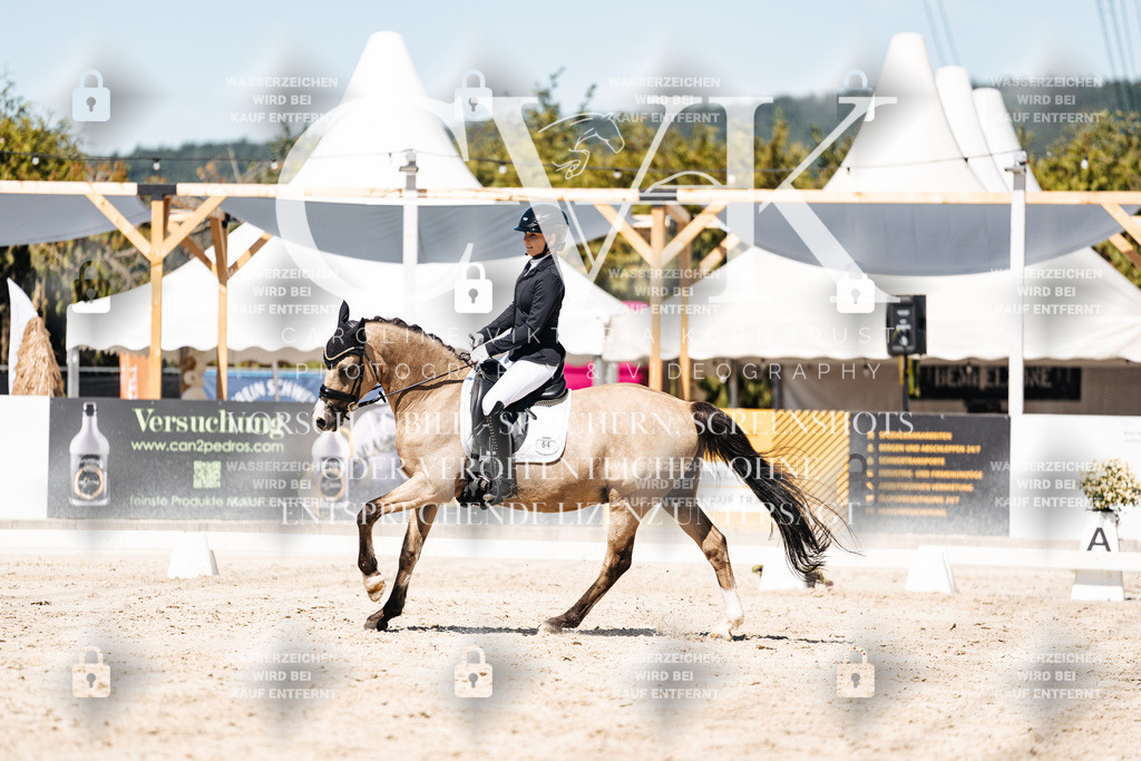 CK909904 | Turnierfotografie Pferdefotografie Trier Rheinland-Pfalz Pferdesport Reitsport Tierfotografie Sportfotografie Pferdevideo Pferdevideografie Equestrianvideography equestrianphotography  - Realisiert mit Pictrs.com
