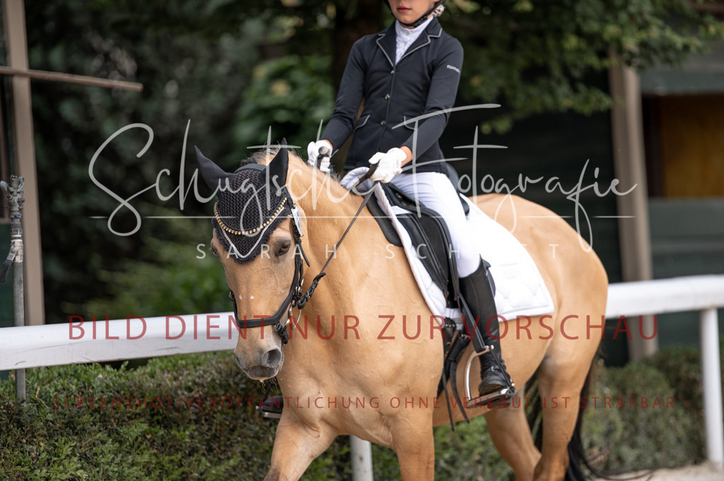 Schugtsche-Aluta25-40.DressurprfA_-347 | Schugtsche Fotografie - Realizzato con Pictrs.com