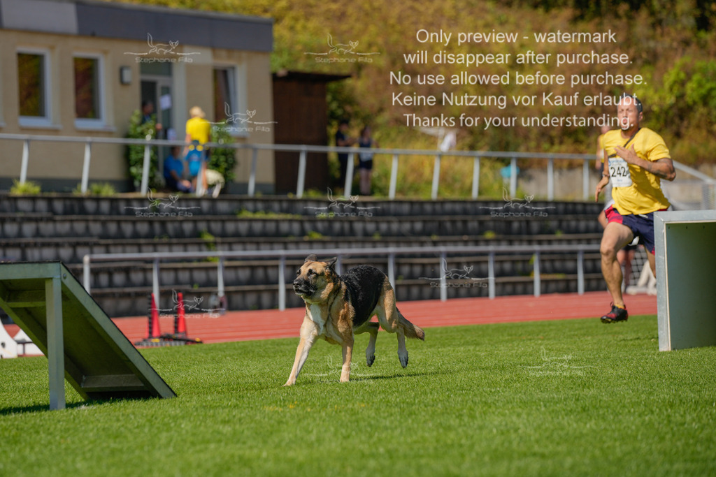 Sonntag_VK Hindernis (276 von 671) | stephaniefillaphotographie - Realisiert mit Pictrs.com