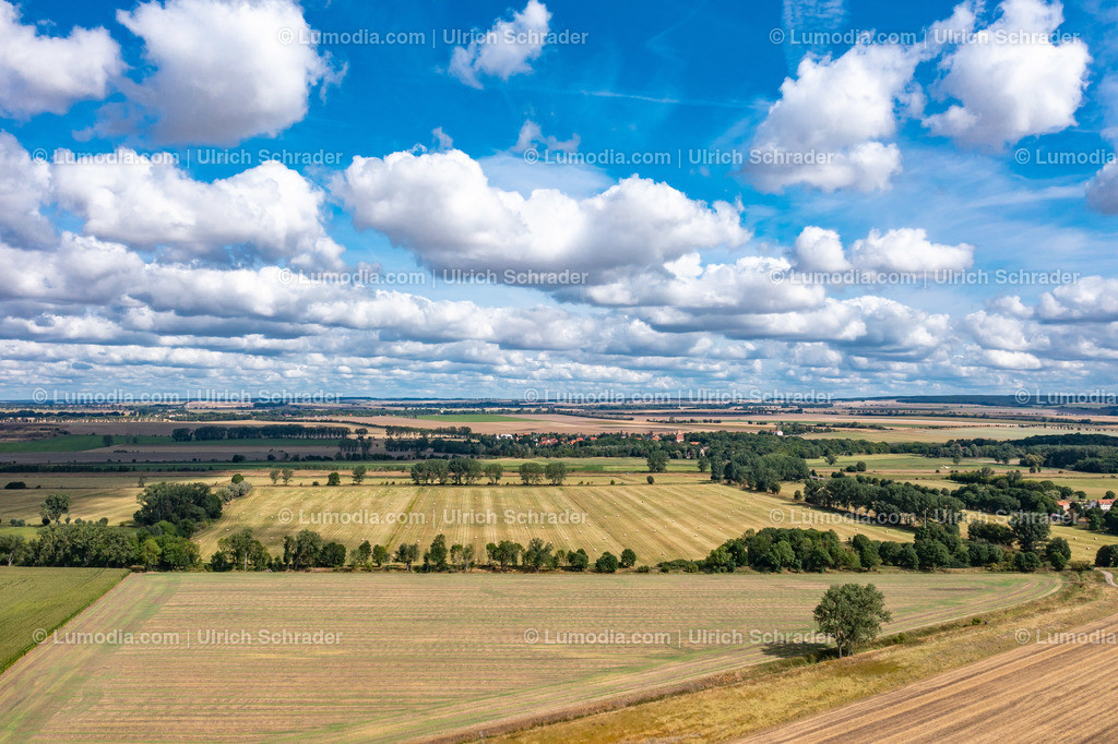 10049-51416 - Im Großen Bruch | Stockfoto und Bilderpool mit Bildmaterial aus Deutschland, dem Harz, Halberstadt, Quedlinburg, Wernigerode und weltweit. Qualitativ hochwertige und professionelle Fotos anschauen und kaufen. - Realisiert mit Pictrs.com