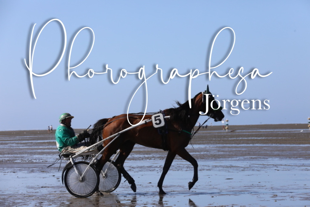 IMG_0390 | photographesa-joergens - Realisiert mit Pictrs.com