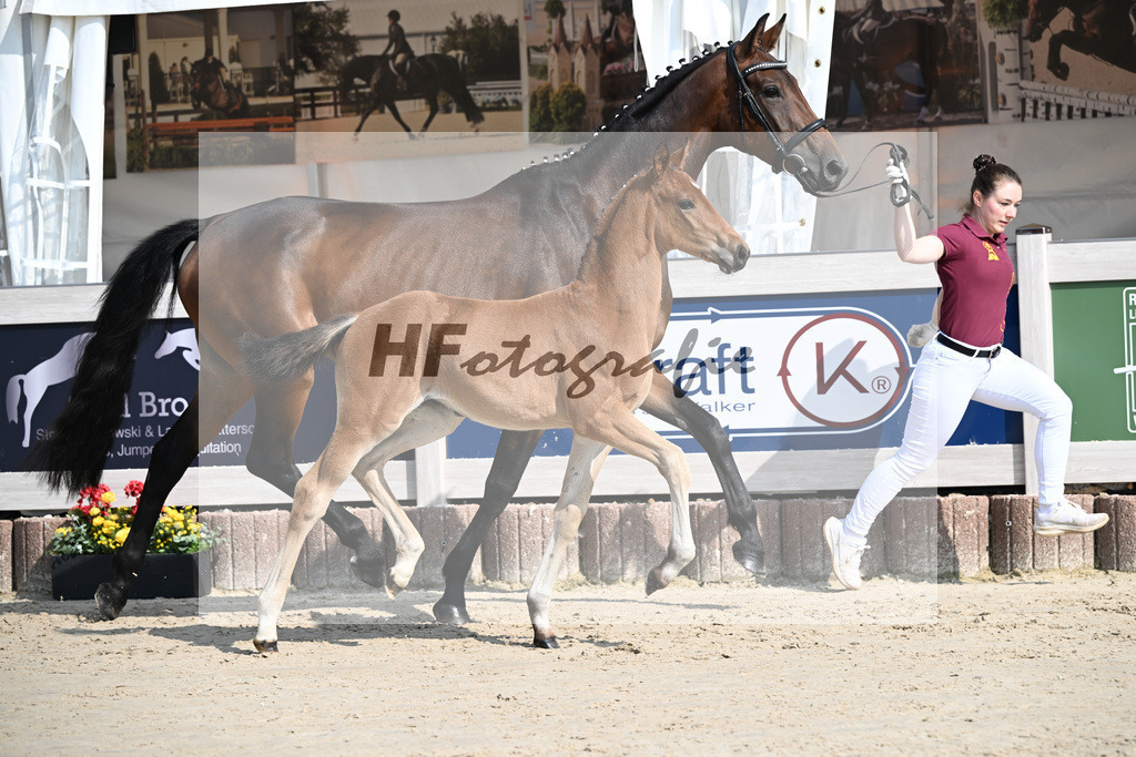 Feliciano x Danone I_SF_Huber_12250101 | hf-fotografie - Realisiert mit Pictrs.com