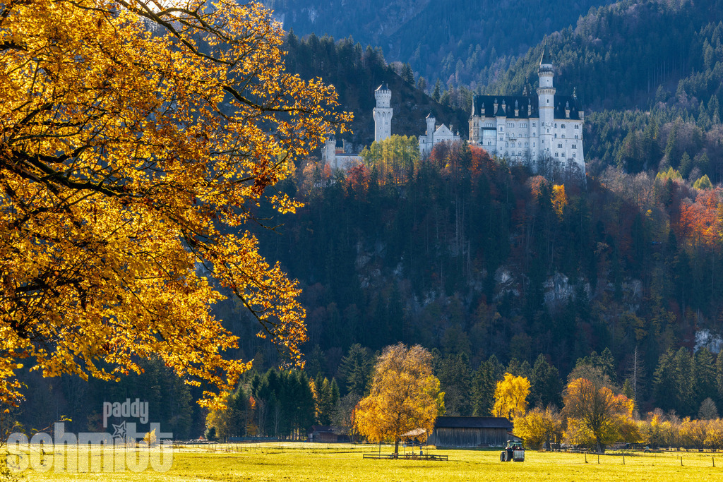 Schloss Neuschwanstein bei Herbststimmung | Schloss Neuschwanstein in warmen Herbstfarben – eine märchenhafte Kulisse zwischen buntem Laub und sanfter Berglandschaft. - Realisiert mit Pictrs.com