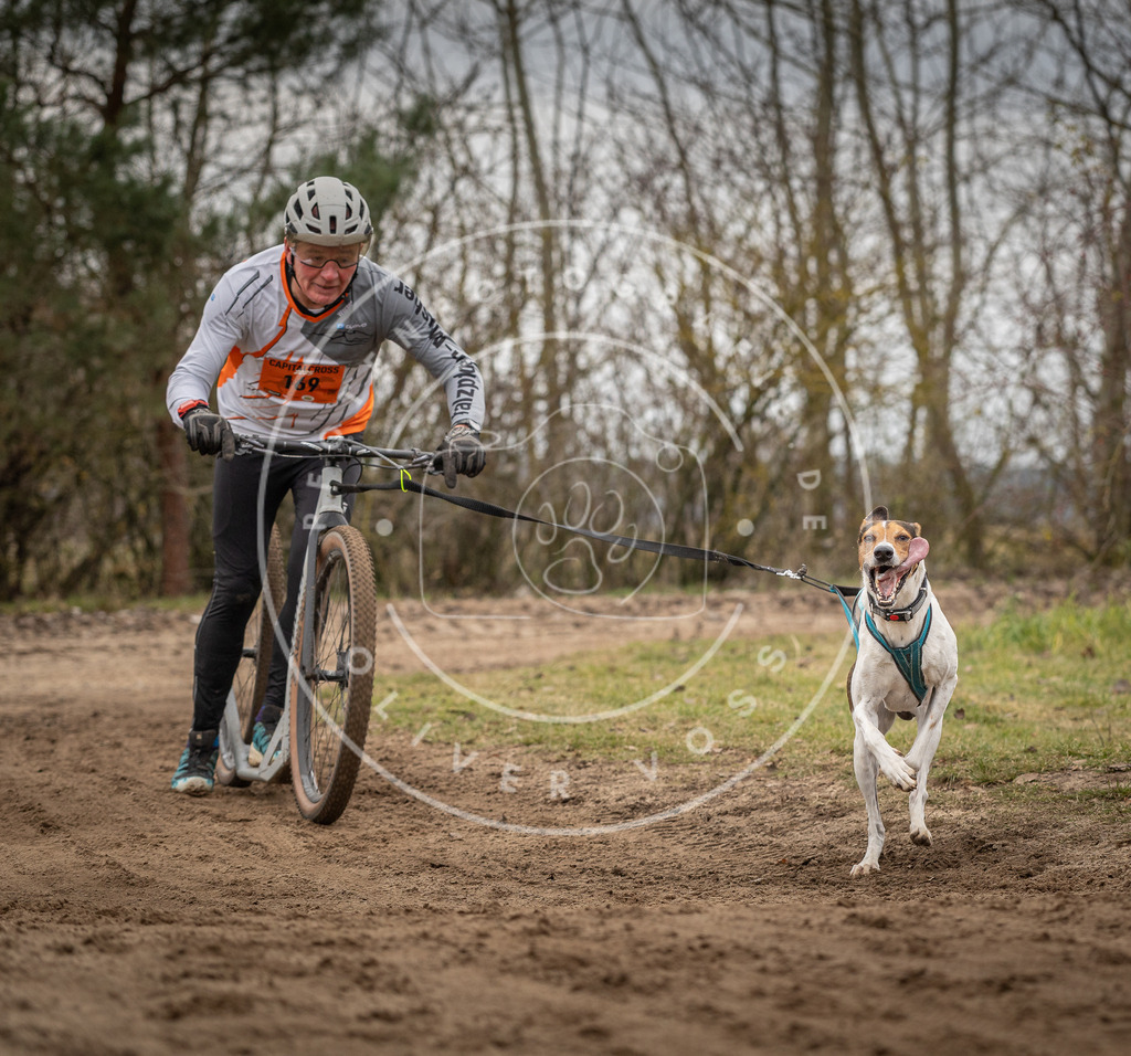 Pfotenfotografie_DV3A9766 | Hundefotografie, Tierfotograf, Pfotenfotografie, Fotoshooting Hund, Hunde Portrait, Hundesport, Hundeportraits, Heideshooting, Hunde, Sportfotograf, Hundefotograf, Turnierhundsport, THS,  - Realisiert mit Pictrs.com