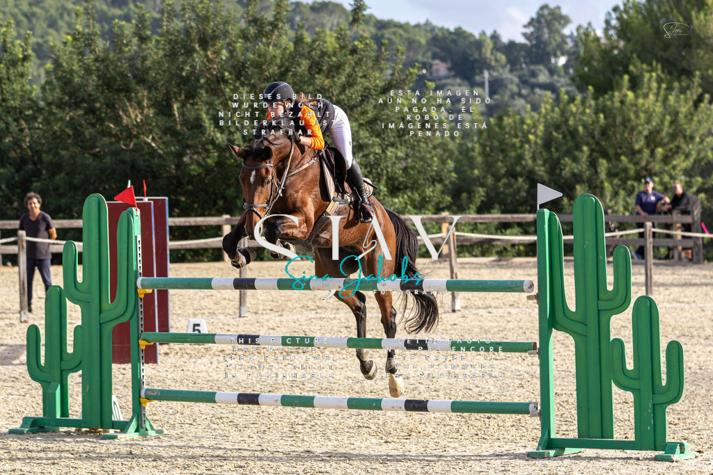 IMG_4950 | s-jay-photography - Realisiert mit Pictrs.com