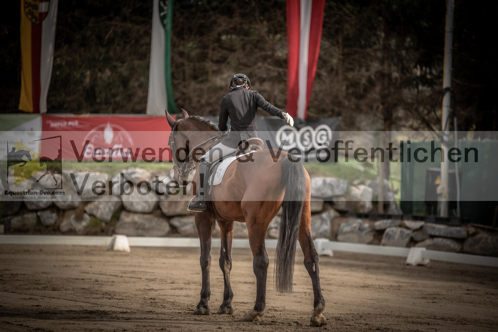 DSC_8304 | equestrian-live-com