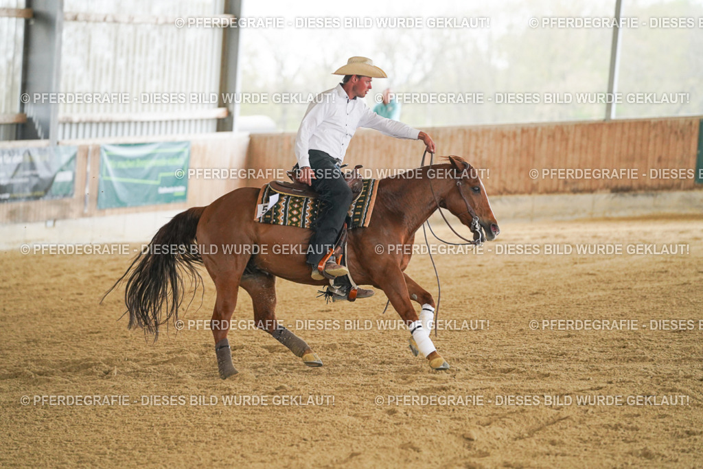 DSC07607 | Pferdegrafie