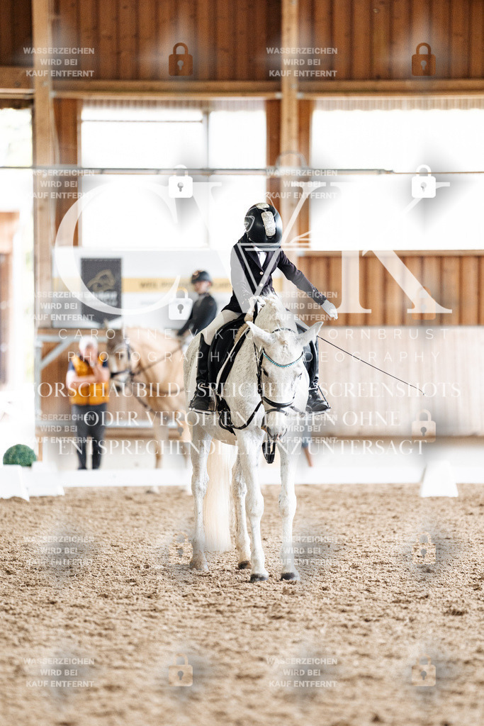 CK900441 | Turnierfotografie Pferdefotografie Trier Rheinland-Pfalz Pferdesport Reitsport Tierfotografie Sportfotografie Pferdevideo Pferdevideografie Equestrianvideography equestrianphotography  - Realisiert mit Pictrs.com