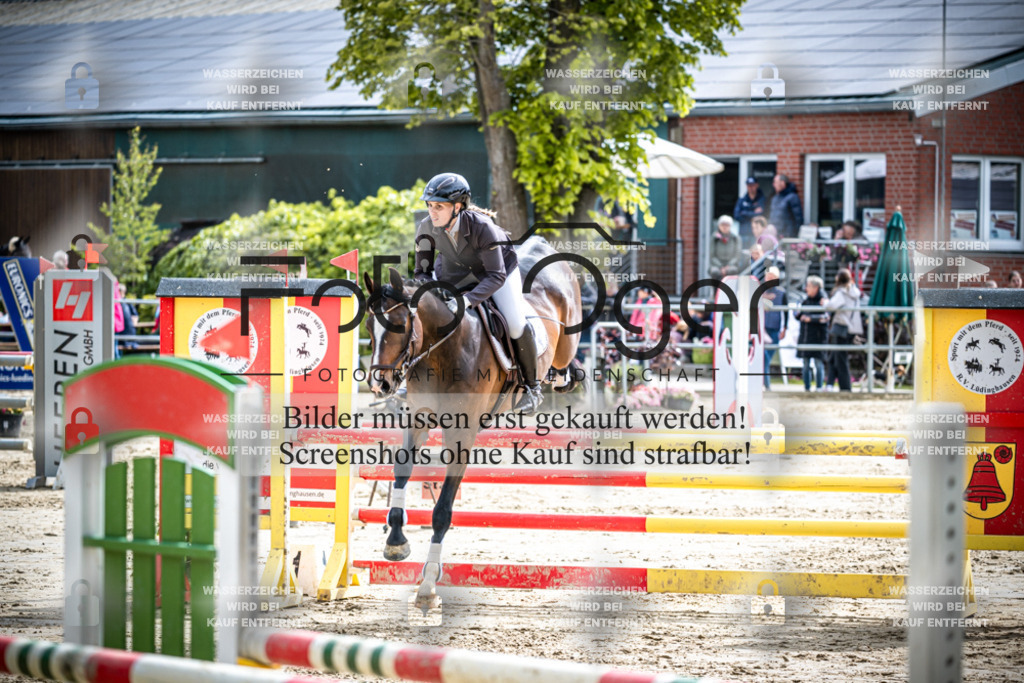 DOS_1911 | Reitturnier Lüdinghausen - Realisiert mit Pictrs.com