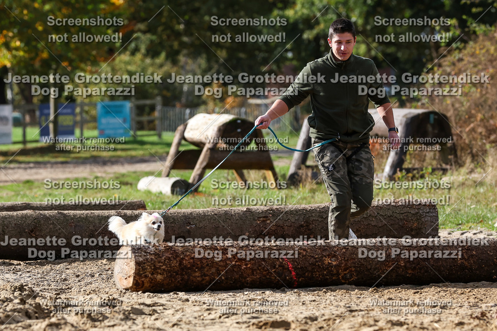 Dog Paparazzi - Strongdog 10-25-4990 | Dog Paparazzi Jeanette Grottendiek Fotografie & Videografie - Realisiert mit Pictrs.com