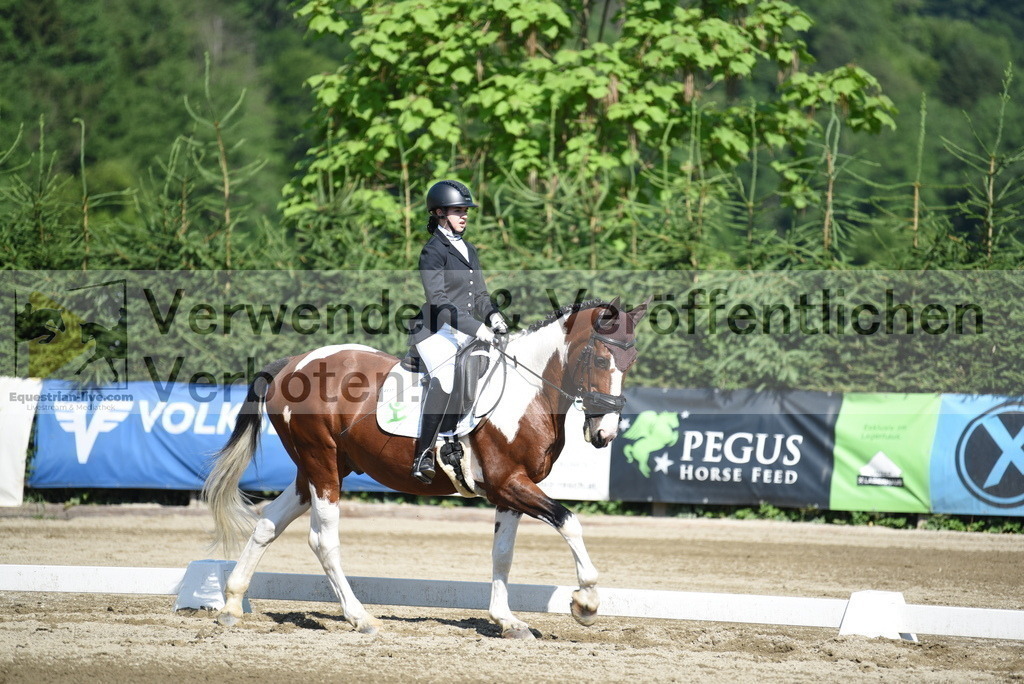 DSC_7713 | equestrian-live-com